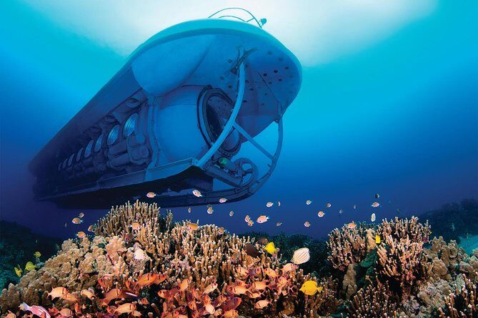 Big Island: Atlantis Submarine from Kona Beach - Price and Value: Is $160.41 Worth It?