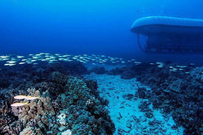 Big Island: Atlantis Submarine from Kona Beach - Quick Practical Details That Matter Day-Of
