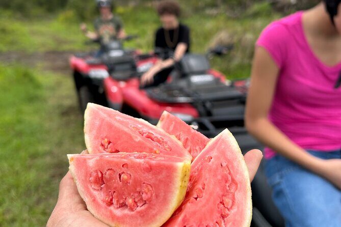 Big Island ATV Tour at Ohana Ranch - Highlights that make this ATV farm tour worth your time