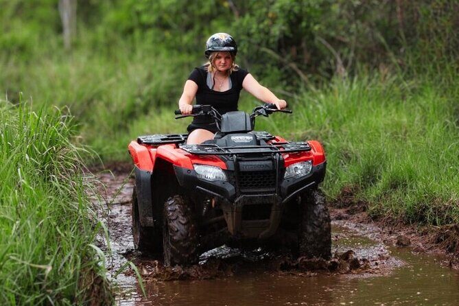 Big Island ATV Tour at Ohana Ranch - Fruit picking and farm life: taro, guava, and Hawaiian coffee plants