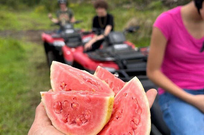 Big Island ATV Tour at Ohana Ranch - Hawaiian culture lessons that connect to the land
