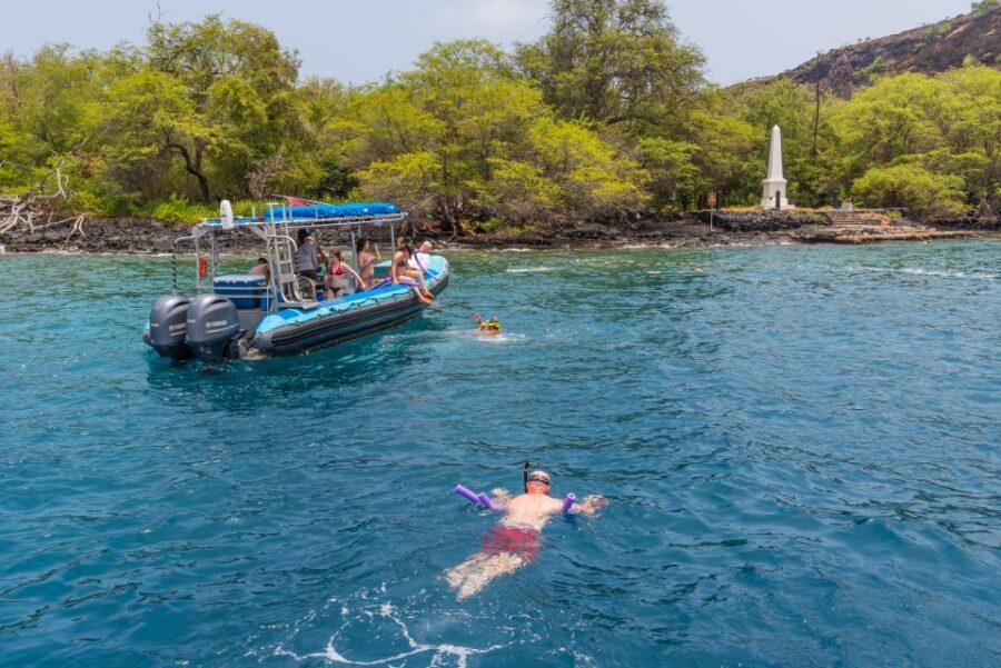 Big Island: Captain Cook Sightseeing & Snorkel Expedition - Wildlife odds on a Kona day: turtles, dolphins, whales, goats
