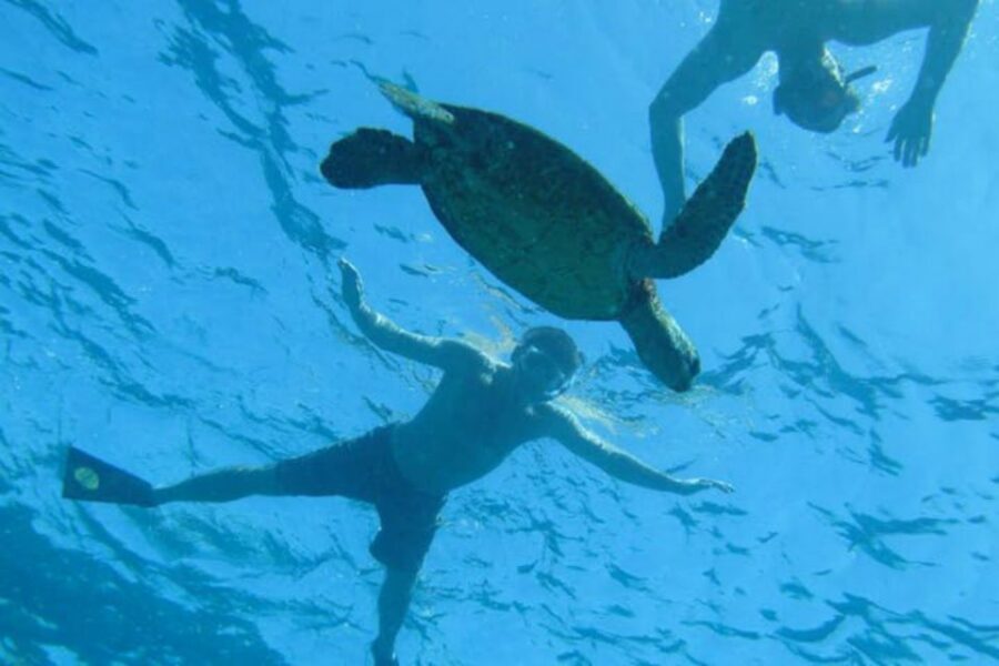 Big Island: Captain Cook Sightseeing & Snorkel Expedition - What to bring (and what the crew covers for you)