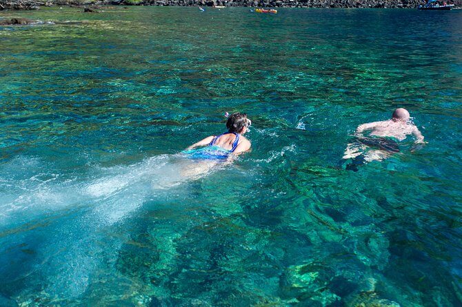 Big Island: Captain Cook Snorkel On A Power Catamaran With Lunch - Price and Value: What $85 Buys You in Real Terms