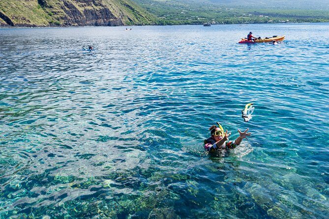 Big Island: Captain Cook Snorkel On A Power Catamaran With Lunch - Where You Meet, What You Carry, and Why It Feels Smooth
