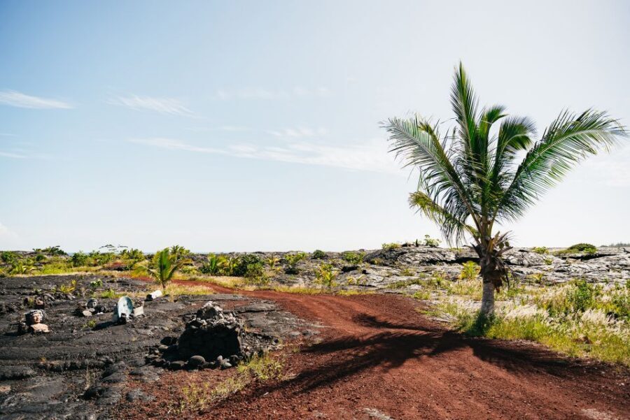 Big Island: Evening Volcano Explorer from Hilo - Dinner and the small-group pace: the practical side of “evening”