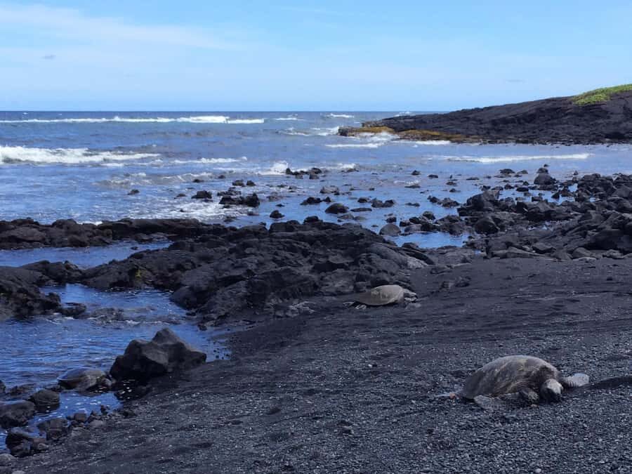 Big Island: Evening Volcano Explorer From Kona or Kohala - Punalu’u Black Sand Beach: Turtles, Palms, and Quiet Scale