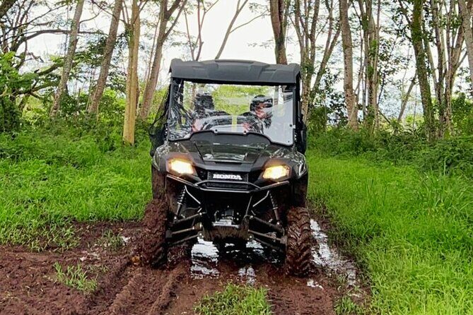 Big Island Family Off Road Farm Adventure at Ohana Ranch - Ohana Ranch: Why this UTV tour feels more local than a standard drive