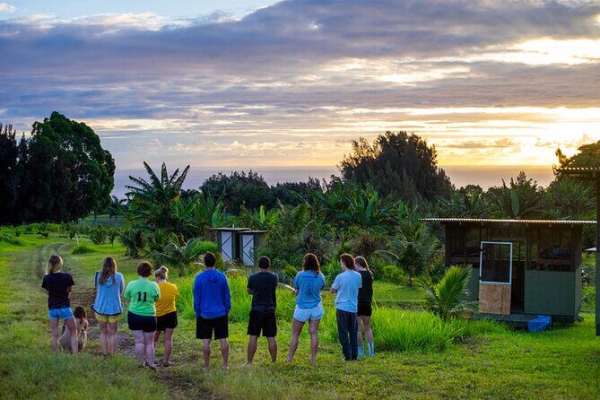 Big Island Farms Tour in Hawaii - Key Highlights You’ll Feel During the Walk