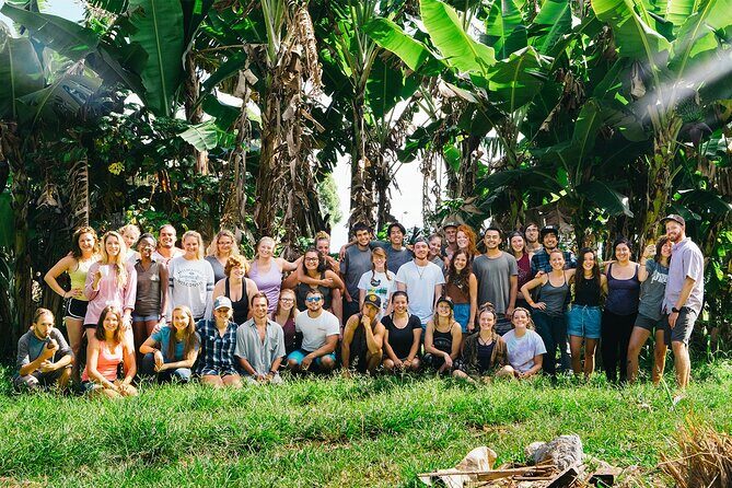 Big Island Farms Tour in Hawaii - The On-Site Bakery and Tinctures: A Treat Stop With Purpose