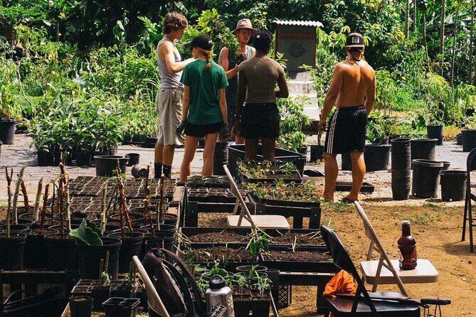 Big Island Farms Tour in Hawaii - The Heart of the Tour: Regenerative Farming, Real Plants, Real Smells