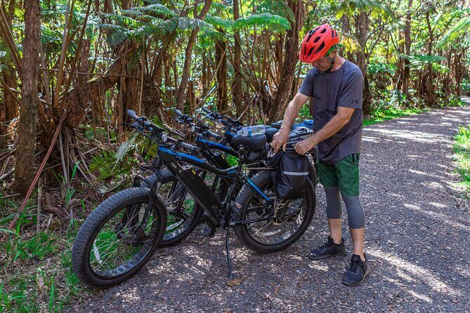 Big Island: Fat Tire E-Bike Tour through Volcanoes National Park - Escape Route Gates to Scenic Stops: What You’ll See in About 3 Hours