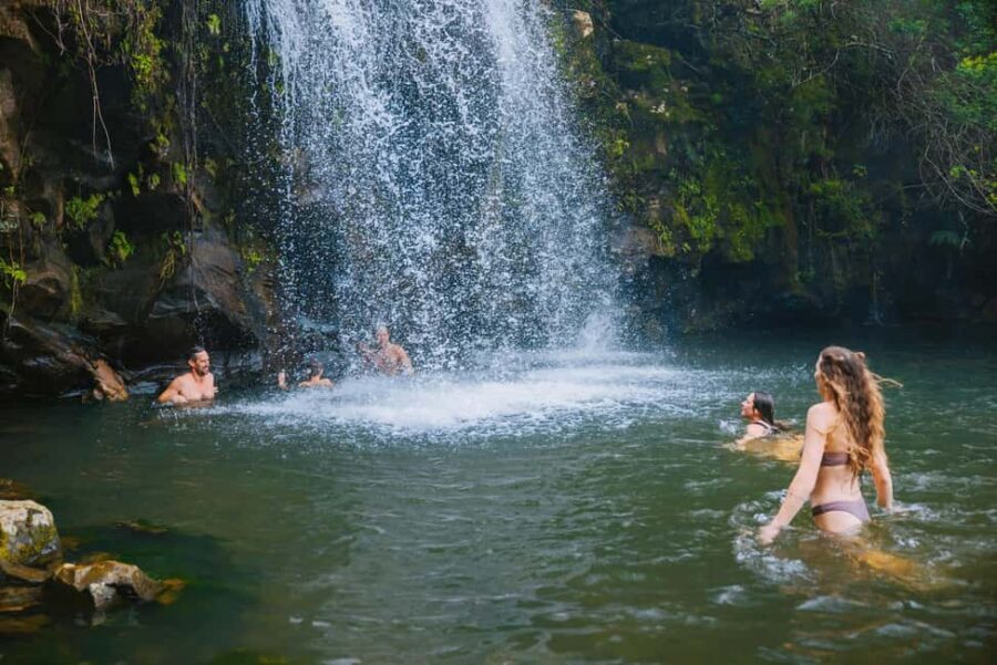 Big Island: Full Day Adventure Tour of the Kohala Waterfalls - Kohala Waterfalls, Hawi, and Pololu Valley in one efficient day
