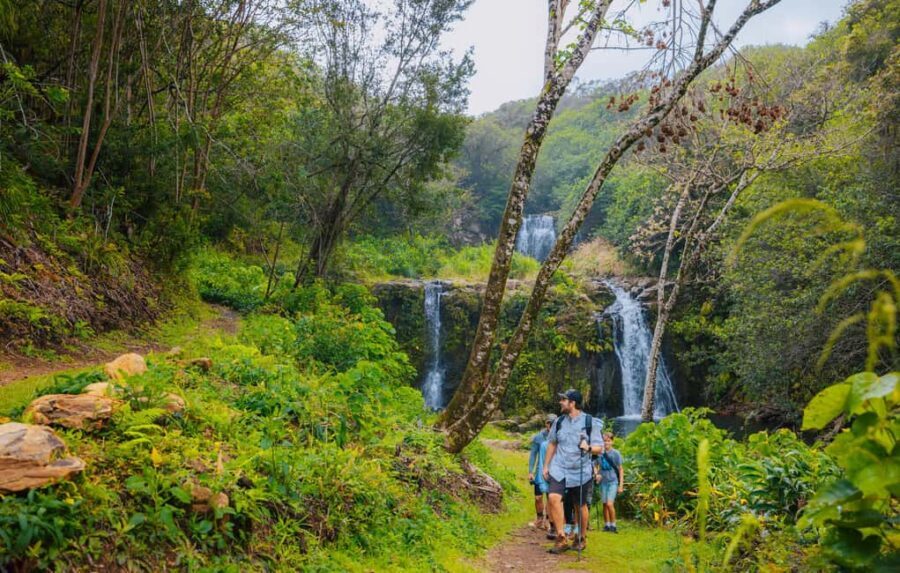 Big Island: Full Day Adventure Tour of the Kohala Waterfalls - The cliffside picnic: lunch with real ocean and valley views