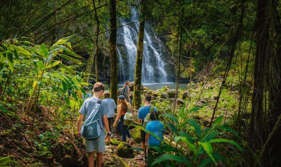 Big Island: Full Day Adventure Tour of the Kohala Waterfalls - Hawi time: historic agricultural site and small-town atmosphere
