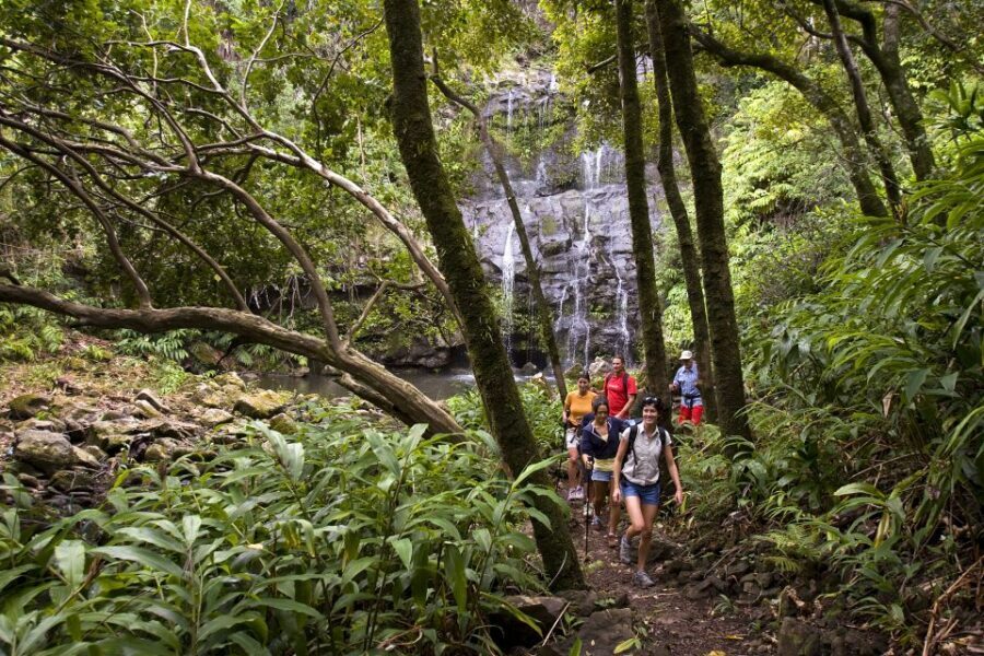 Big Island: Full Day Adventure Tour of the Kohala Waterfalls - Price and value: is $261 worth it?