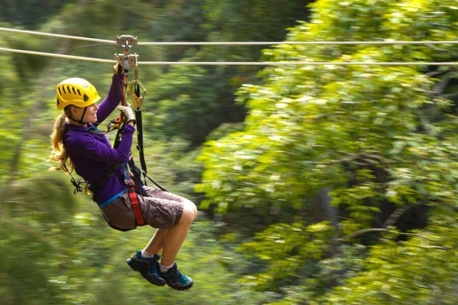 Big Island: Full-Day Kohala Zipline and Waterfall Adventure - Key points before you go