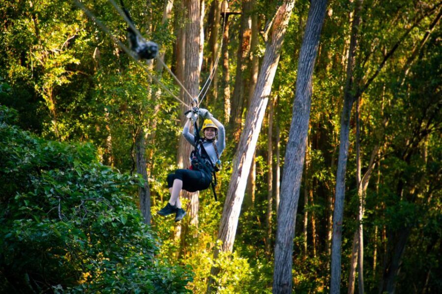 Big Island: Full-Day Kohala Zipline and Waterfall Adventure - A 9-hour day that mixes 4x4, zip lines, and waterfall time