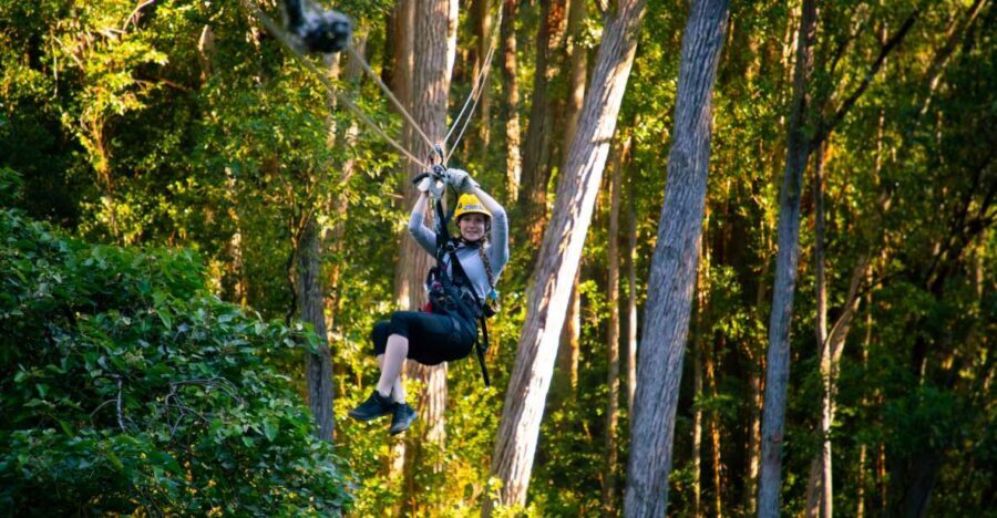 Big Island: Full-Day Kohala Zipline and Waterfall Adventure - Inside Kohala Zipline: 8 lines, 6 sky bridges, and a rappel