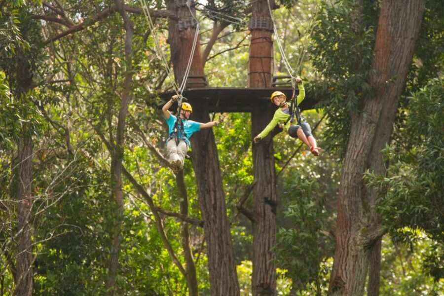 Big Island: Full-Day Kohala Zipline and Waterfall Adventure - Safety, harness rules, and who this tour really fits