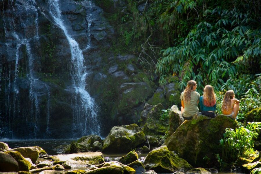 Big Island: Full-Day Kohala Zipline and Waterfall Adventure - The picnic lunch with big views before you hike