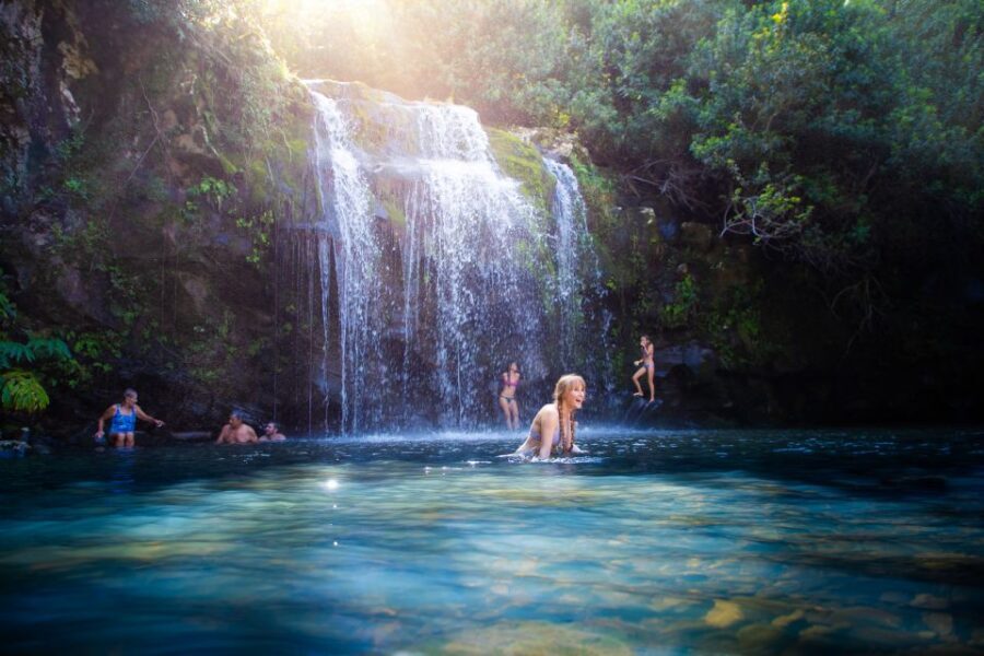 Big Island: Full-Day Kohala Zipline and Waterfall Adventure - Getting from Kona to Kohala: the drive and why the north side feels different