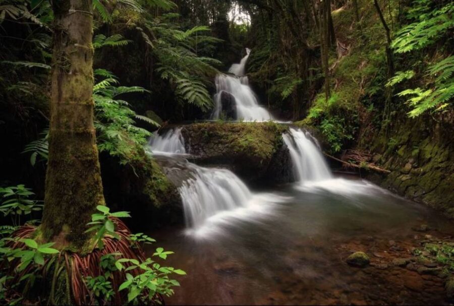 Big Island: Full-Day Sightseeing & Waterfalls Adventure Tour - Key Points at a Glance