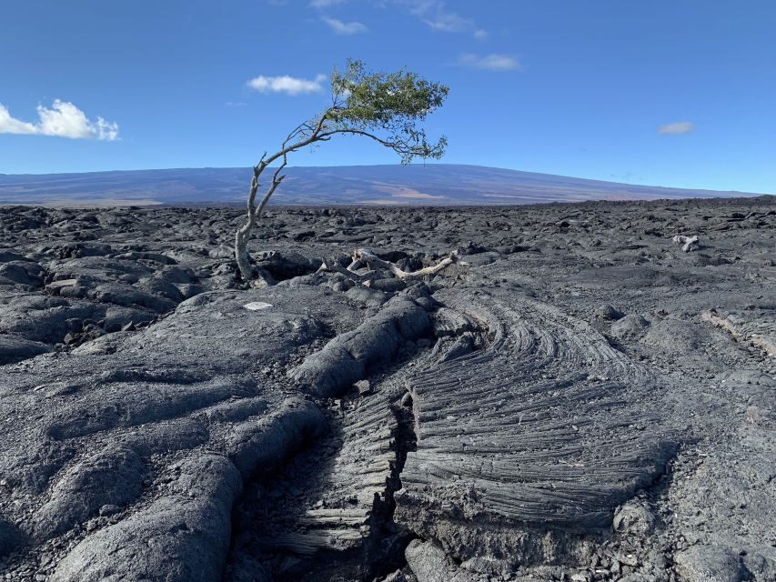 Big Island: Full-Day Sightseeing & Waterfalls Adventure Tour - Rainbow Falls and the Ride That Feels Like Part of the Attraction