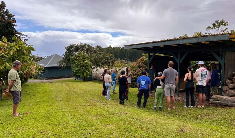Big Island Hawaii: Craft Chocolate Tasting and Farm Tour - Fermentation room time: where quality can change quickly