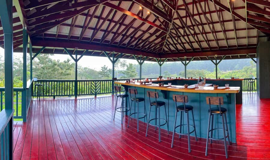 Big Island Hawaii: Craft Chocolate Tasting and Farm Tour - Chocolate history, with a craft lens