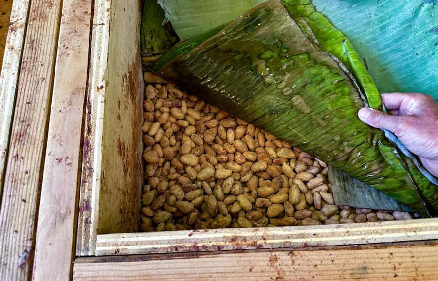 Big Island Hawaii: Craft Chocolate Tasting and Farm Tour - Why the food pairings feel thoughtful, not random