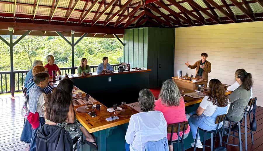 Big Island Hawaii: Craft Chocolate Tasting and Farm Tour - Getting to 1533 Puia Rd: a rural route from Hilo