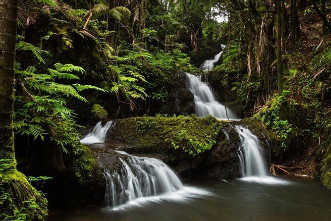 Big Island Hawaii Self-Guided Driving Tour - Price and value: $16.99 per group is the whole point