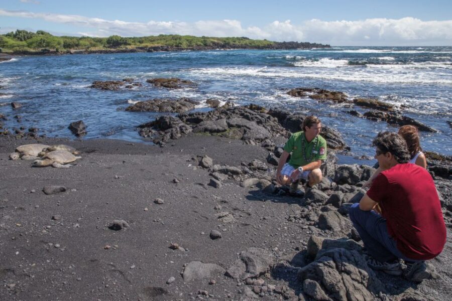 Big Island, Hawaii: Volcano and Stargazing Tour with Dinner - Dinner at Volcano’s Lava Rock Café, then back for night views