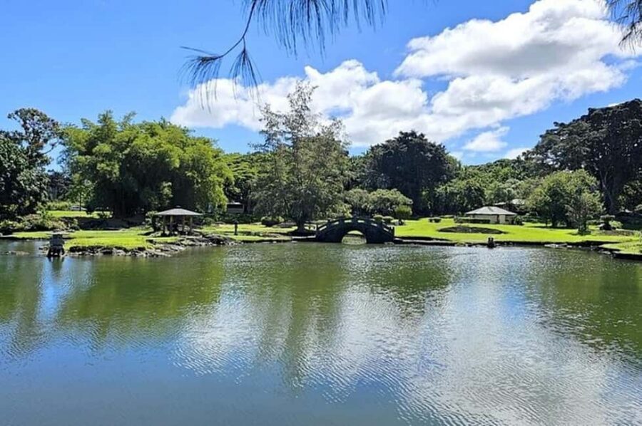 Big Island Hawaii Volcano Day tour from Oahu and Hotel PU - Who this tour fits best (and who it might not)