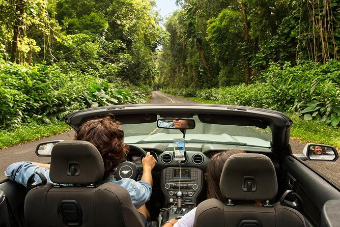 Big Island - Hawaii Volcanoes National Park Driving Tour - Stop 4: Chain of Craters Road (built-in break time)