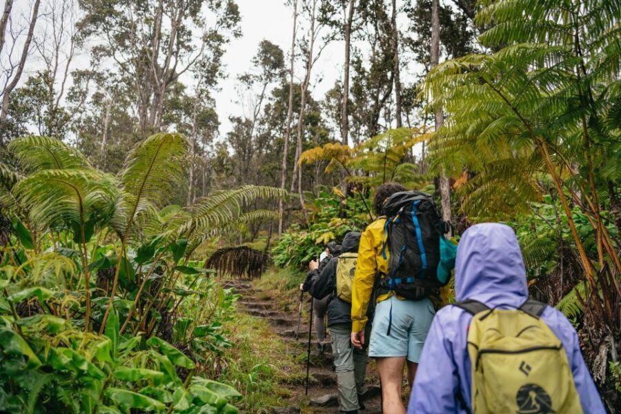 Big Island: Hawai'i Volcanoes National Park Guided Hike - Key Things You’ll Notice on This Hike