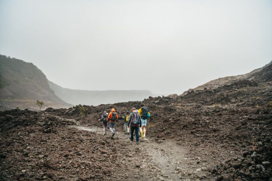 Big Island: Hawai'i Volcanoes National Park Guided Hike - Into the lush rainforest: spotting native Hawaiian wildlife with a plan