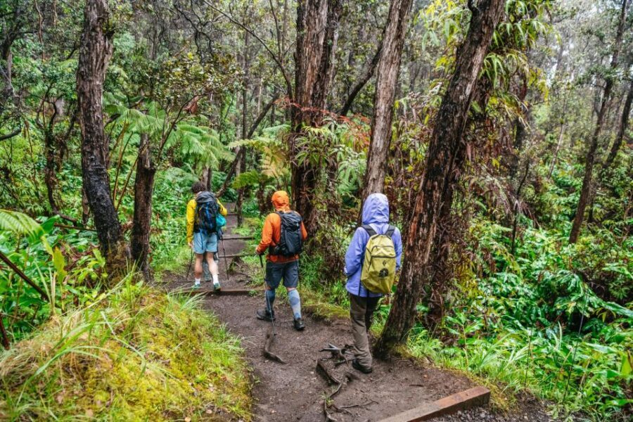 Big Island: Hawai'i Volcanoes National Park Guided Hike - The guide touch: Jennifer’s storytelling and small kindnesses