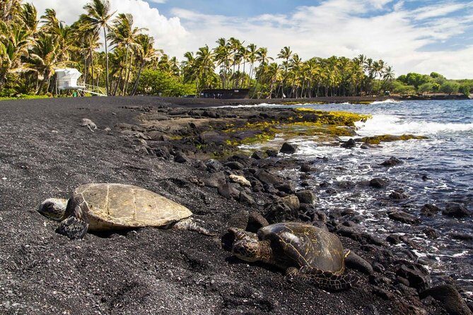 Big Island Highlights: Coffee, Volcano, Black Sands & Waterfall - A full-day loop that starts with coffee and ends with waterfall thunder