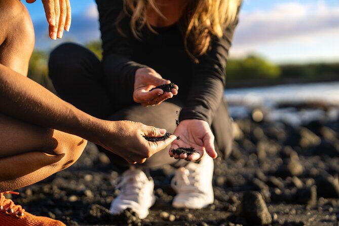 Big Island Highlights: Coffee, Volcano, Black Sands & Waterfall - Big Island Candies: a quick snack stop before Rainbow Falls