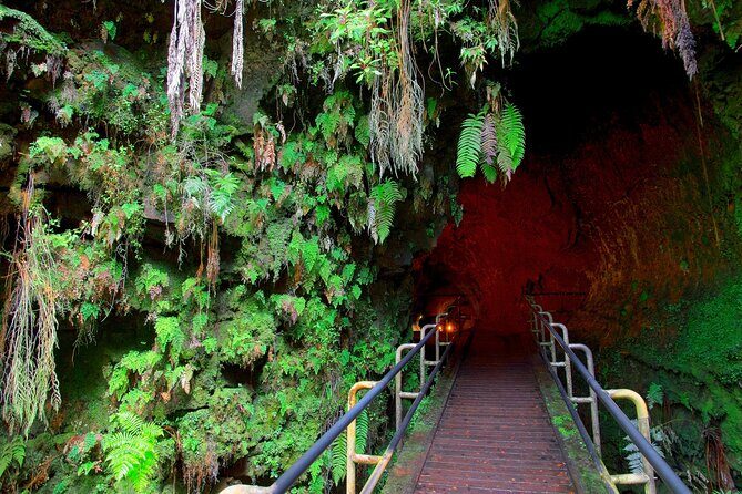 Big island Hilo Day Tour- Volcano,LavaTube,Waterfall,Beach&Lunch - Group size, van comfort, and what to plan for on the ground