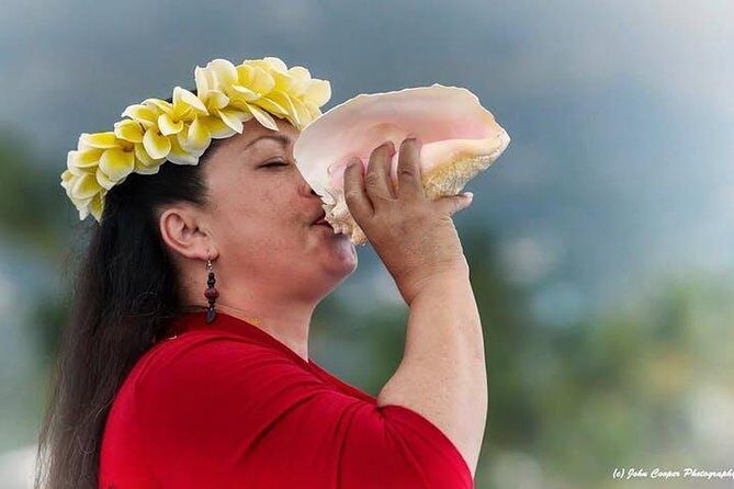 Big Island Historical Dinner Cruise to Kealakekua Bay - Kona-to-Kealakekua: The 4:00 pm start and how the evening flows
