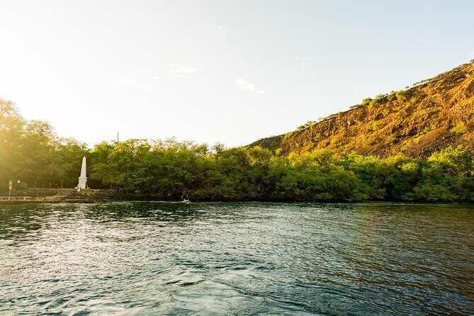 Big Island Historical Dinner Cruise to Kealakekua Bay - Wildlife odds: dolphins, whales, manta rays, and one brave shark story
