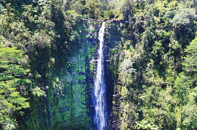 Big Island in a Day-Explore Volcanoes, Waterfalls, Beaches & more - Punaluʻu Bake Shop + Black Sand Beach: Sweet Stops and Turtle Sightings