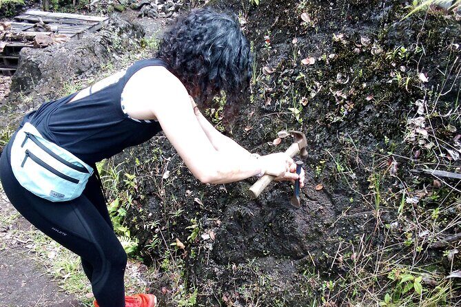 Big Island Jungle Tour with Guava Green Tea - Key highlights you can plan around