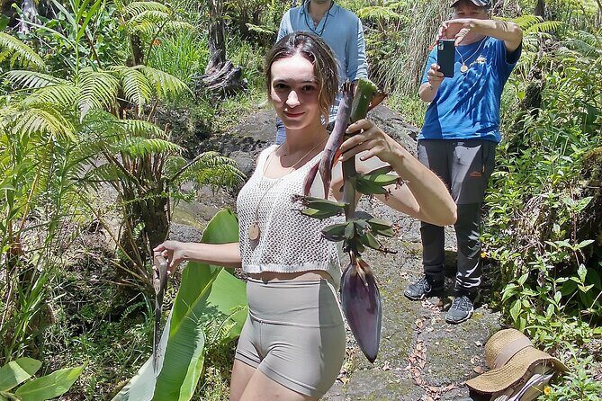 Big Island Jungle Tour with Guava Green Tea - A 2-hour rainforest stop in Fern Forest