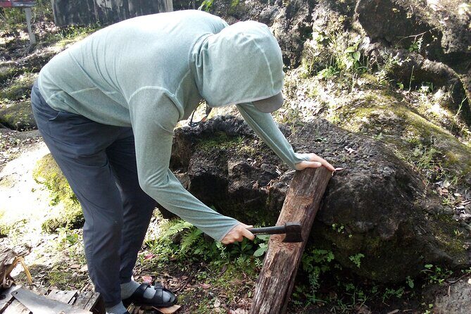 Big Island Jungle Tour with Guava Green Tea - The 300+ hapuu fern garden walk