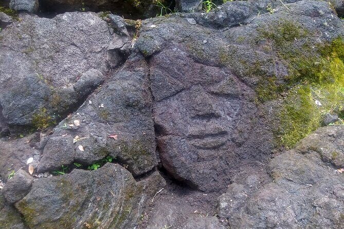Big Island Jungle Tour with Guava Green Tea - Outdoor art gallery time and what makes it different