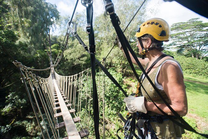 Big Island Kohala Canopy Zipline Adventure - First Flights Over Kohala: What This 3-Hour Zipline Really Means